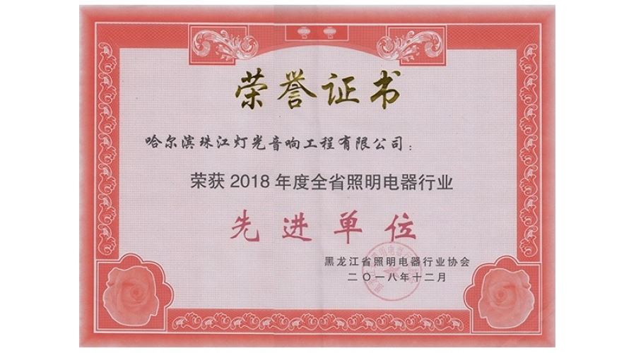 照明协会（先进单位2018）